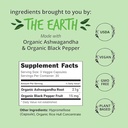 happy-healthy-hippie-peripeace-supplemen-4.jpg