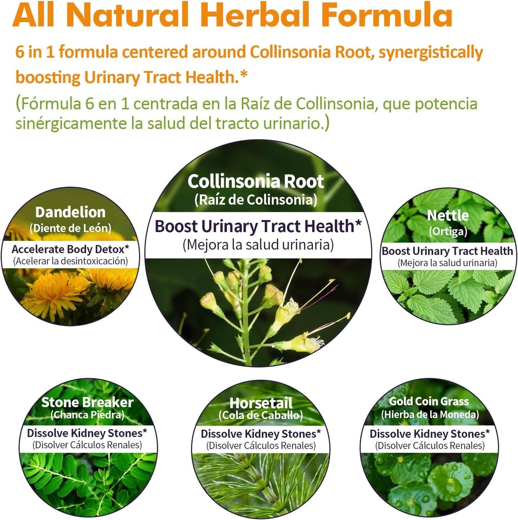 collinsonia-stone-root-drops-for-urinary-4.jpg