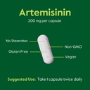 bestvite-artemisinin-200mg-120-vegetaria-5.jpg
