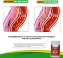 cholestunes-cholesterol-support-suppleme-3.jpg