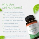 cell-nutrients-promotes-cell-and-membran-6.jpg