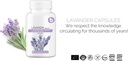 organic-lavender-capsules---lavender-pil-5.jpg