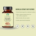 ayurvedashree-boswellia-serrata-extract--4.jpg