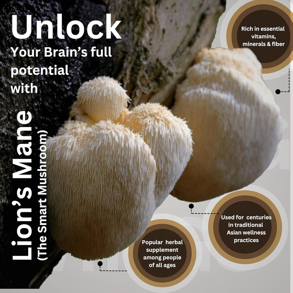 lions-mane-mushroom-capsules-4200mg-lion-5.jpg
