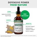 nutramedix-daily-immune-support-suppleme-4.jpg