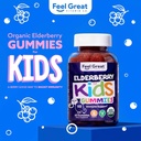 usda-organic-elderberry-gummies-for-kids-2.jpg