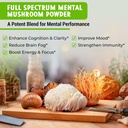 majus-mental-mushroom-powder-extract-str-3.jpg