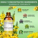 mulittea-mullein-drops-for-lungs-lymphat-3.jpg