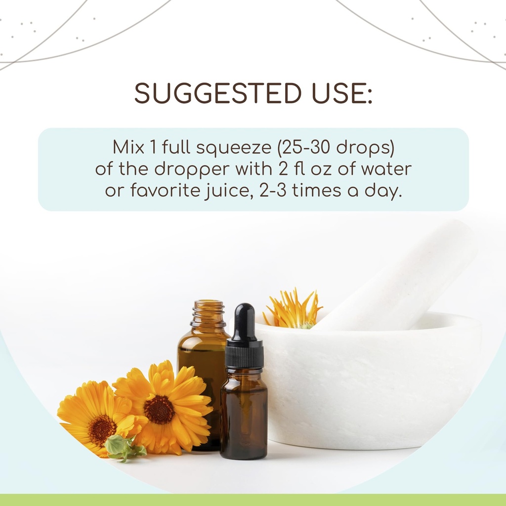 herbera-alfalfa-usda-organic-tincture-al-2.jpg