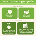 organic-india-moringa-capsules-organic---3.jpg