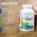 natural-cure-labs-premium-andrographis-p-2.jpg