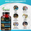 humming-herbs-berberine-supplement-1300--6.jpg