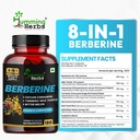 humming-herbs-berberine-supplement-1300--2.jpg