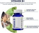 vitamin-b---encourage-sustainable-energy-2.jpg
