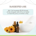ginkgo-biloba-b120-alcohol-free-herbal-e-2.jpg