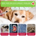 dog-uti-treatment-xsvseie-urinary-tract--4.jpg
