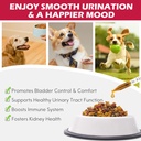 dog-uti-treatment-xsvseie-urinary-tract--5.jpg