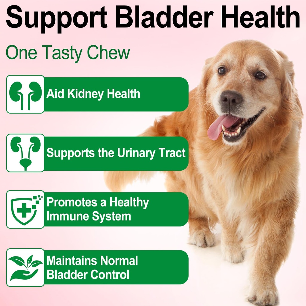 urinary-tract-for-dogs-dog-urinary-tract-2.jpg