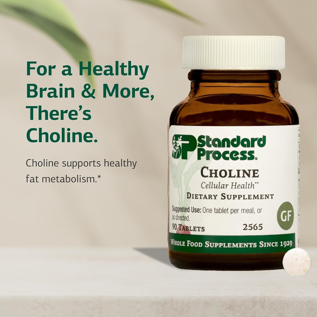standard-process-choline---supports-heal-3.jpg