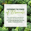 ved-broccoli-sulforaphane-broccoli-powde-5.jpg