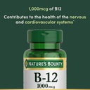 natures-bounty-vitamin-b12-1000-mcg-supp-3.jpg