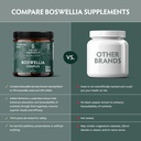 tribe-organics-boswellia-serrata-complex-6.jpg
