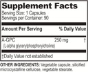 brain-basics-ultra-alpha-gpc-500-mg-a-gp-2.jpg