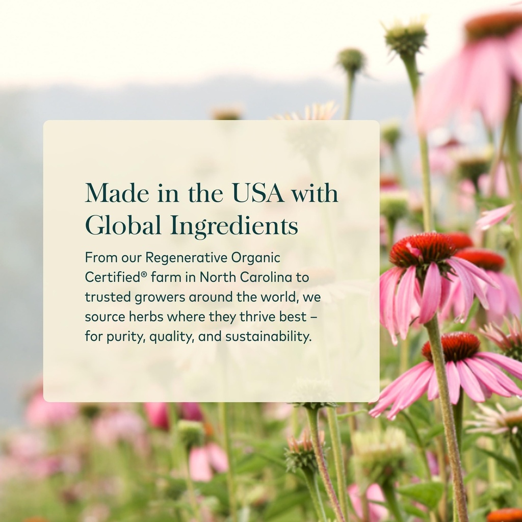 gaia-herbs-black-elderberry-daily-immune-4.jpg