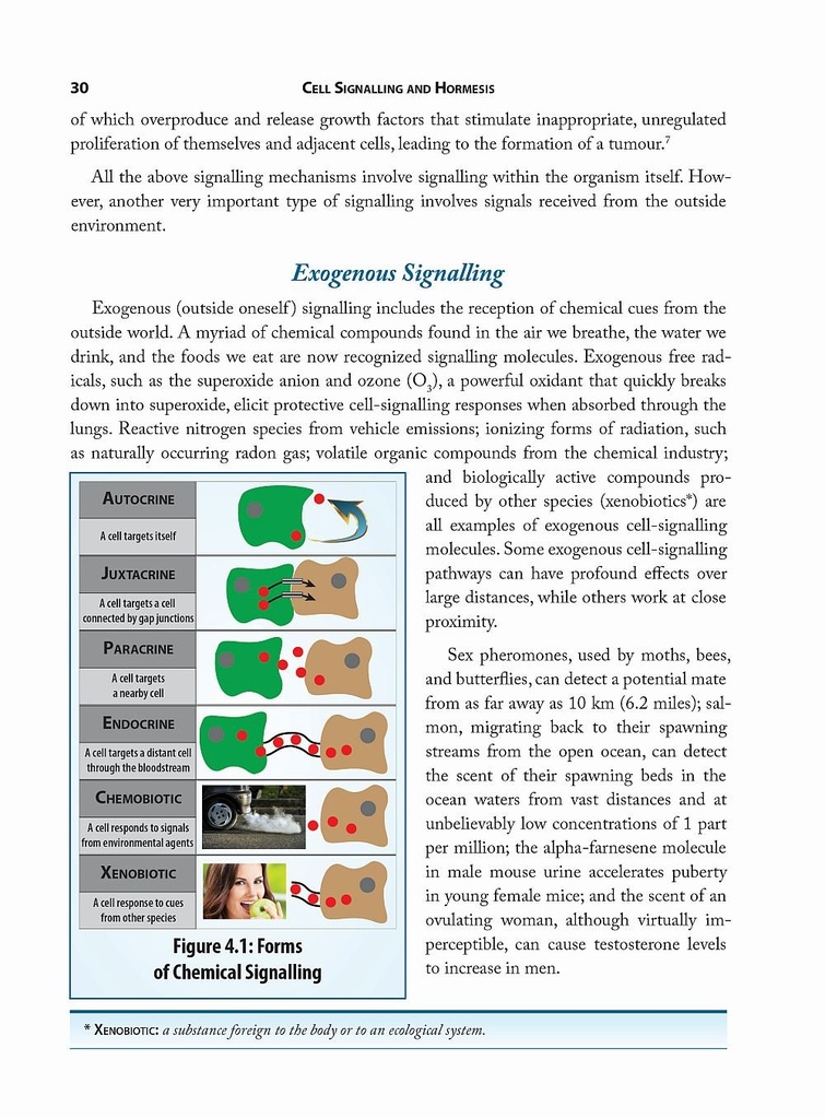 nutrisearch-comparative-guide-to-nutriti-3.jpg
