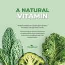 forestleaf-riboflavin-magnesium-migraine-4.jpg