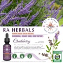 ra-herbals-organic-chasteberry-extract-v-3.jpg
