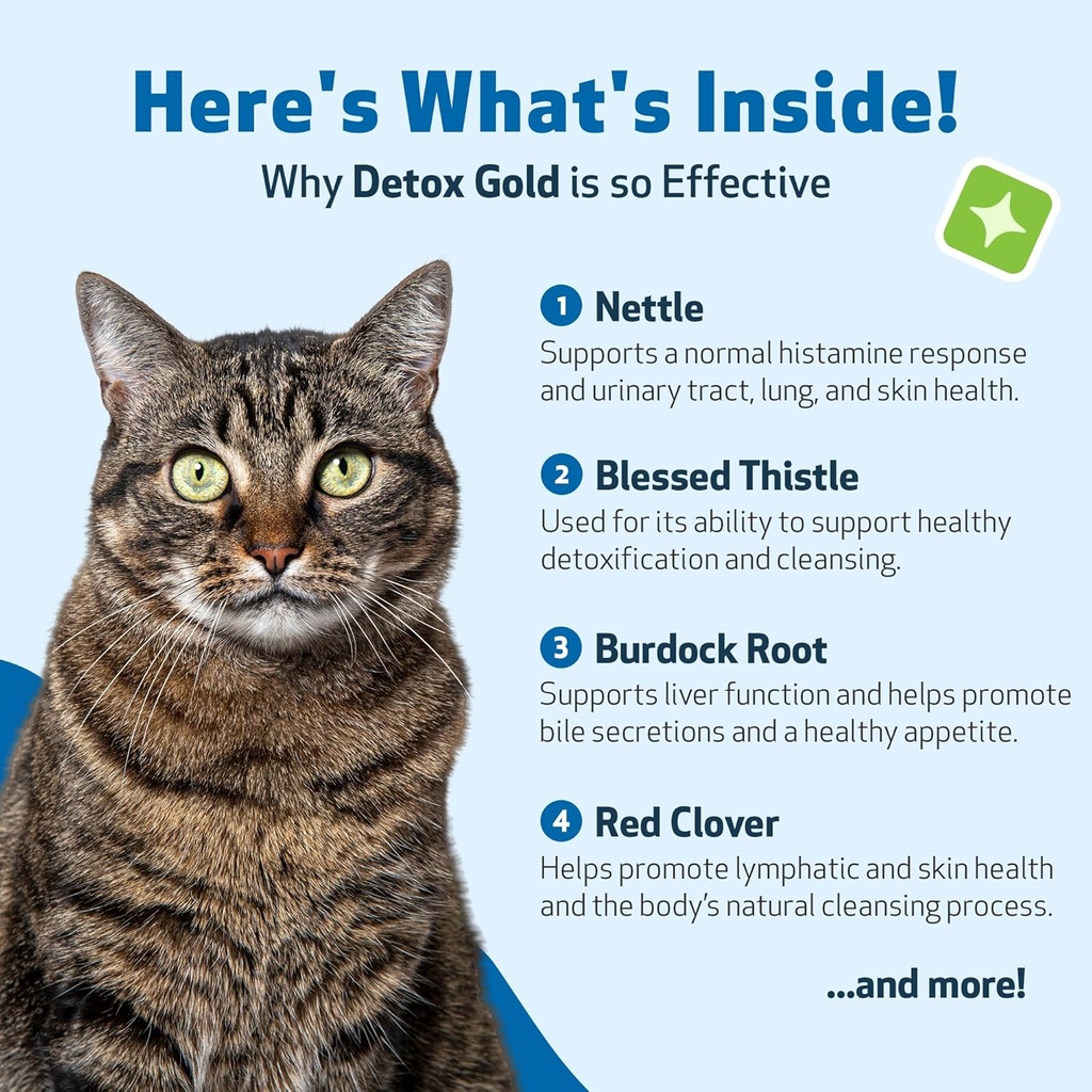pet-wellbeing-detox-gold-for-cats---gent-6.jpg