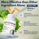 acetylcholine-supplements-alpha-gpc-600m-71pPpSNn1mL.jpg