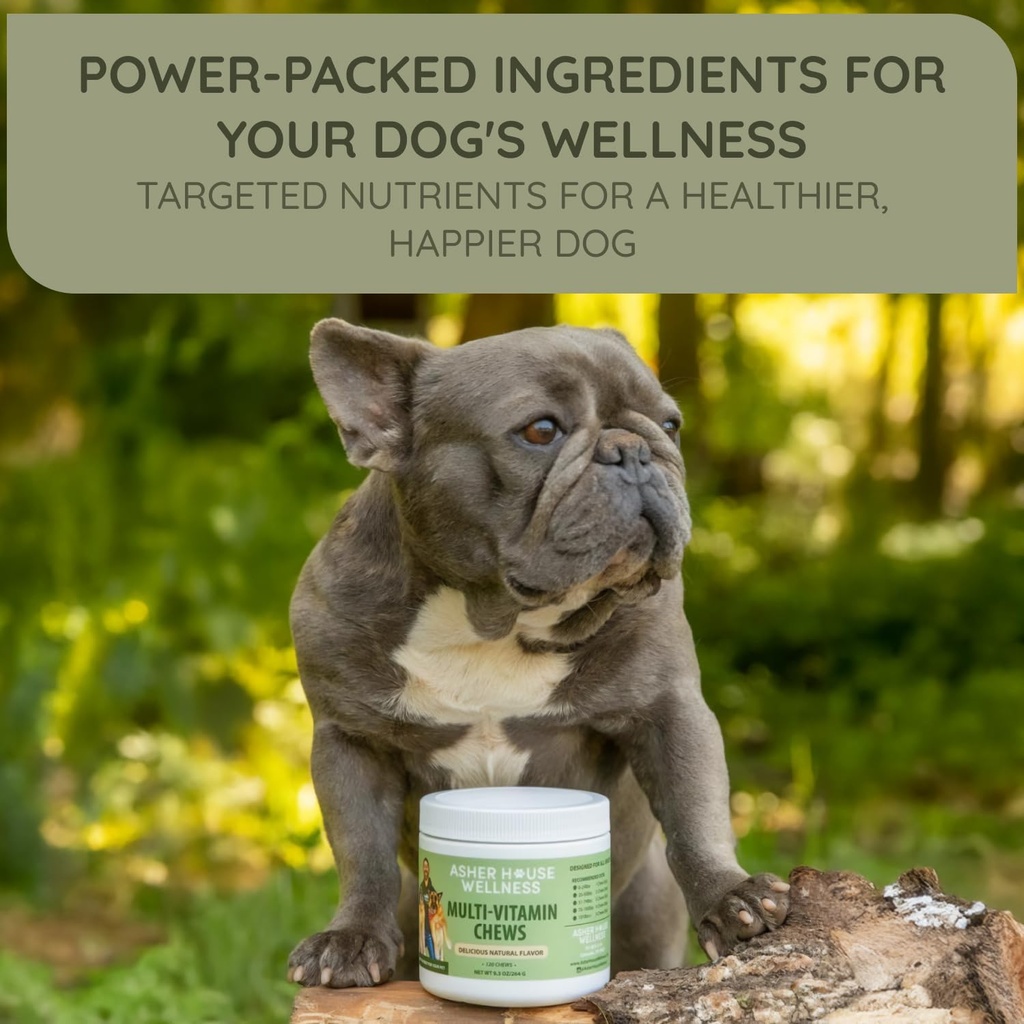 asher-house-wellness-dog-multivitamin-ch-6.jpg