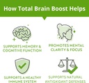 nootropic-brain-support-supplement-with--5.jpg