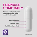 md-life-l-methylfolate-15-mg-professiona-711akVFE8aL.jpg