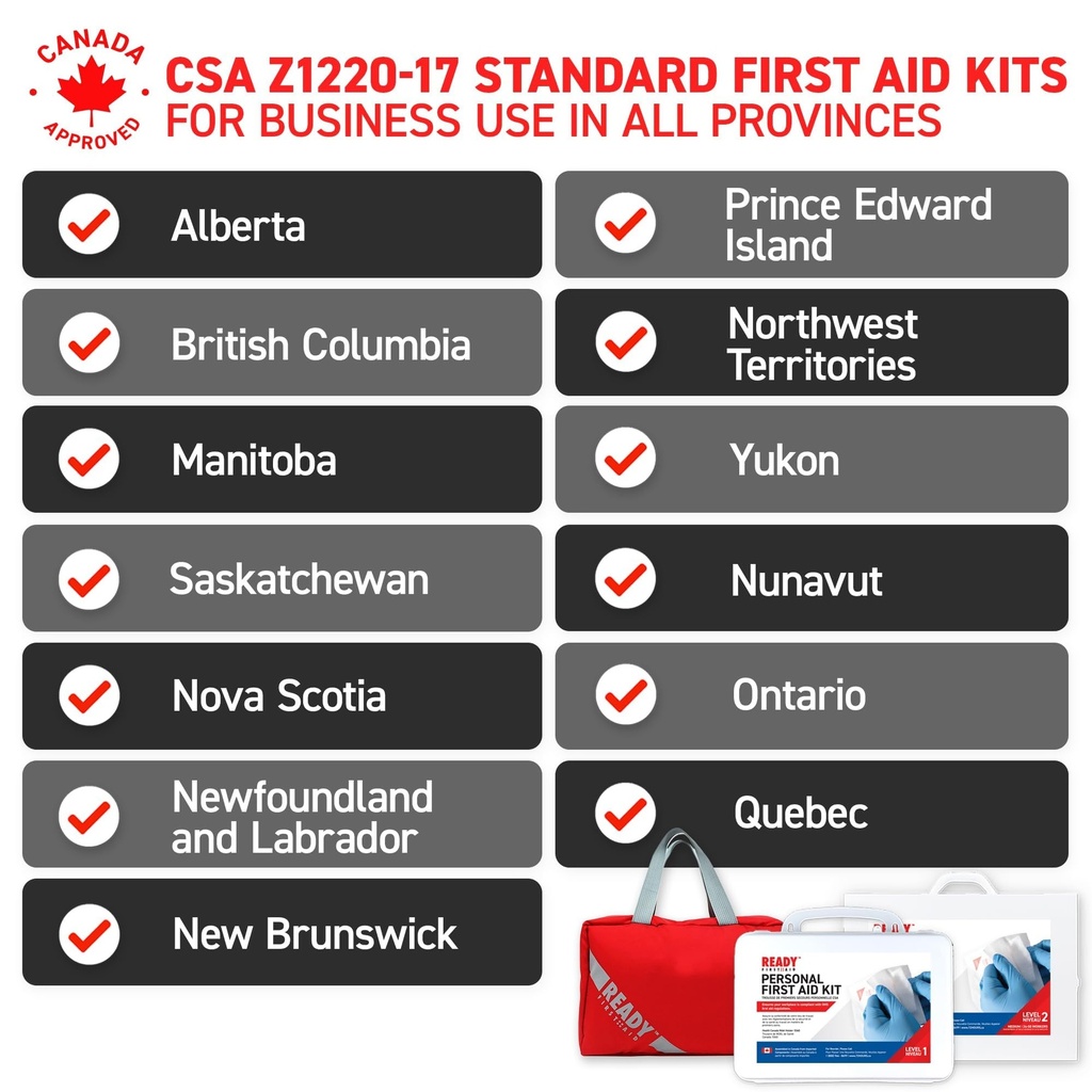 ready-first-aid-csa-type-2-basic-workpla-71p10nn4kWL.jpg