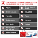 ready-first-aid-csa-type-2-basic-workpla-71p10nn4kWL.jpg