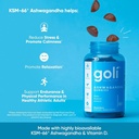 goli-ashwagandha-vitamin-d-gummy-60-coun-61ljvkUefGL.jpg