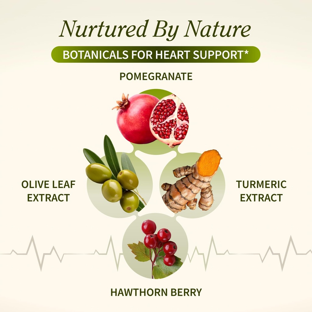 snap-supplements-heart-health-support-su-715GaHrxeyL.jpg