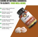 ancient-bliss-lions-mane-supplement-2-mo-5.jpg