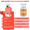 naturyz-premium-berberine-cinnamon-turme-61DOglfBETL.jpg