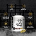 avvatar-alpha-whey-protein-2kg-malai-kul-81lfKsu6lIL.jpg