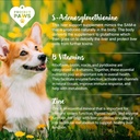 project-paws-same-for-dogs---liver-suppo-4.jpg