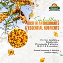 biosash-himalayan-sea-buckthorn-empower--81EMDmWGqZL.jpg