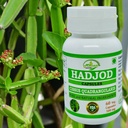 hadjod-cissus-quadrangularis-for-optimal-6.jpg