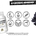 activated-charcoal-500mg-60-tablets-71932GXL3tL.jpg