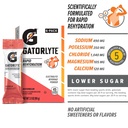 gatorlyte-powder-watermelon-makes-20-fl--3.jpg