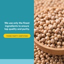 natural-factors-phosphatidyl-choline-per-81KxO4n5UrL.jpg