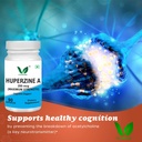 vitaruhe-huperzine-a-200mcg-per-serving--71+HdG9t5cL.jpg